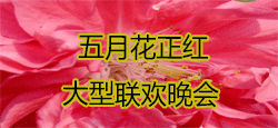 《五月花正红》大型联欢晚会