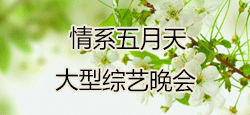 《情系五月天》大型综艺晚会
