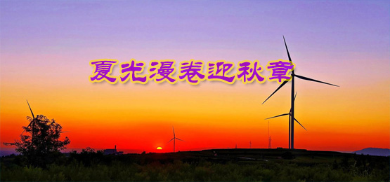浪漫世界专区《夏光漫卷迎秋章》大型歌舞晚会