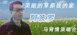 阿波罗马背情演唱会