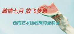西南艺术团大型歌舞消夏晚会