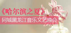 哈尔滨之夏同城黑龙江文艺晚会