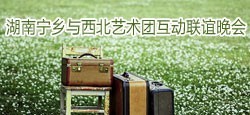 湖南宁乡与西北艺术团互动联谊