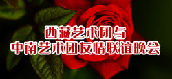 西藏艺术团与中南艺术团友情联谊