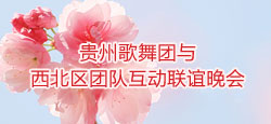 贵州歌舞团与西北区团队联谊会