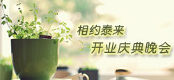 相约泰来开业庆典晚会