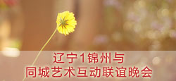 辽宁1锦州与同城艺术互动联谊会