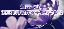 江西玉山与湖州不夜城联谊会