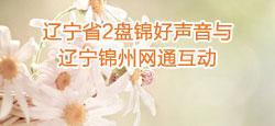 辽宁盘锦好声音与辽宁锦州联谊