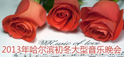 2013年哈尔滨初冬大型音乐晚...