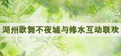 湖州歌舞不夜城与修水联谊会