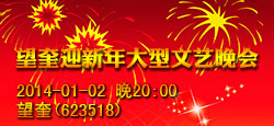 望奎迎新年大型文艺晚会