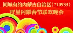 群星闪耀春节联欢晚会片花