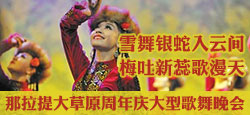 那拉提大草原周年庆典
