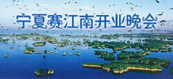 宁夏赛江南开业晚会