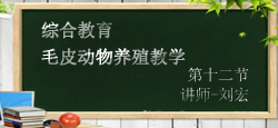 毛皮动物养殖教学第十二节-刘宏