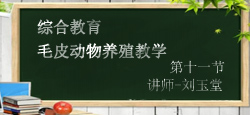 毛皮动物养殖教学第十一节-刘玉堂