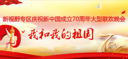 新视野专区庆祝新中国成立70周年大型联欢晚会