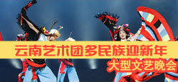 云南艺术团多民族迎新年大型文艺晚会