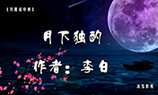 【月圆话中秋】月下独酌