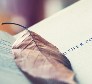 回忆像书也像落叶